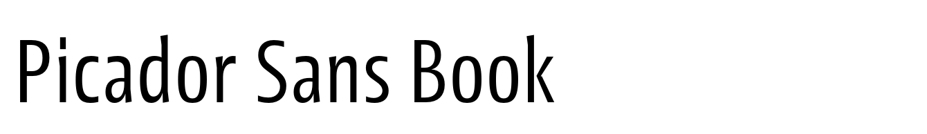 Picador Sans Book
